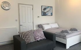 Newly Renovated Modern Studio Apartment